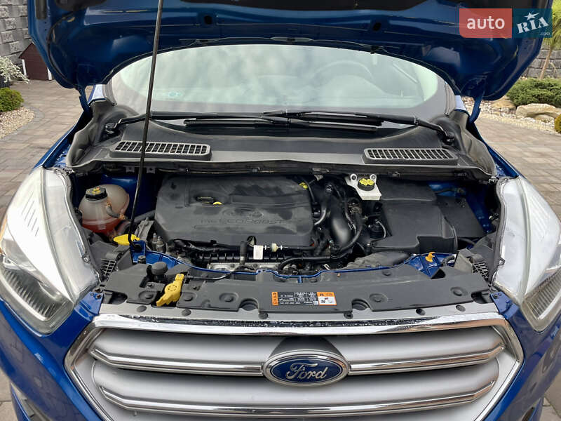 Внедорожник / Кроссовер Ford Escape 2017 в Ровно фото 25 Внедорожник / Кроссовер Ford Escape 2017 в Ровно