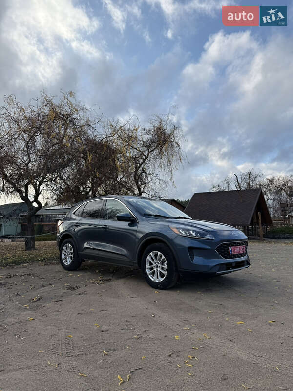 Внедорожник / Кроссовер Ford Escape 2020 в Джулинке фото 10 Внедорожник / Кроссовер Ford Escape 2020 в Джулинке