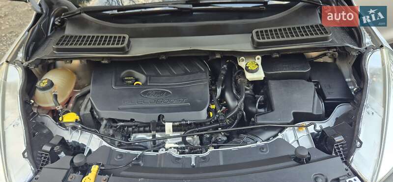 Позашляховик / Кросовер Ford Escape 2017 в Дубні