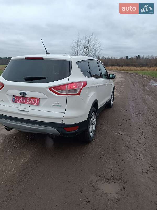 Внедорожник / Кроссовер Ford Escape 2014 в Радивилове фото 4 Внедорожник / Кроссовер Ford Escape 2014 в Радивилове