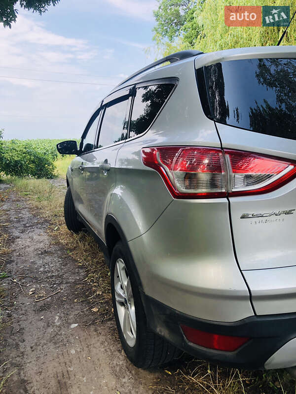 Внедорожник / Кроссовер Ford Escape 2013 в Бердичеве фото 23 Внедорожник / Кроссовер Ford Escape 2013 в Бердичеве