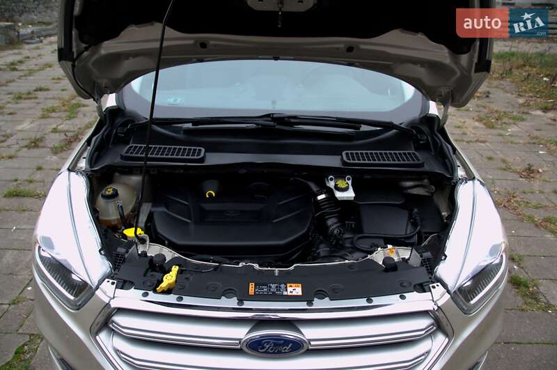 Позашляховик / Кросовер Ford Escape 2017 в Житомирі фото 43 Позашляховик / Кросовер Ford Escape 2017 в Житомирі
