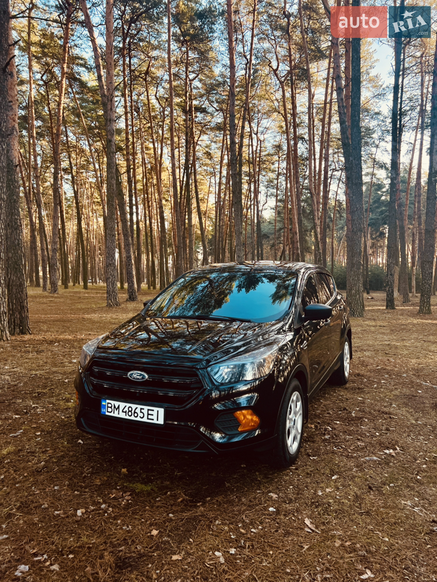 2019 Ford Escape - мініатюра 3
