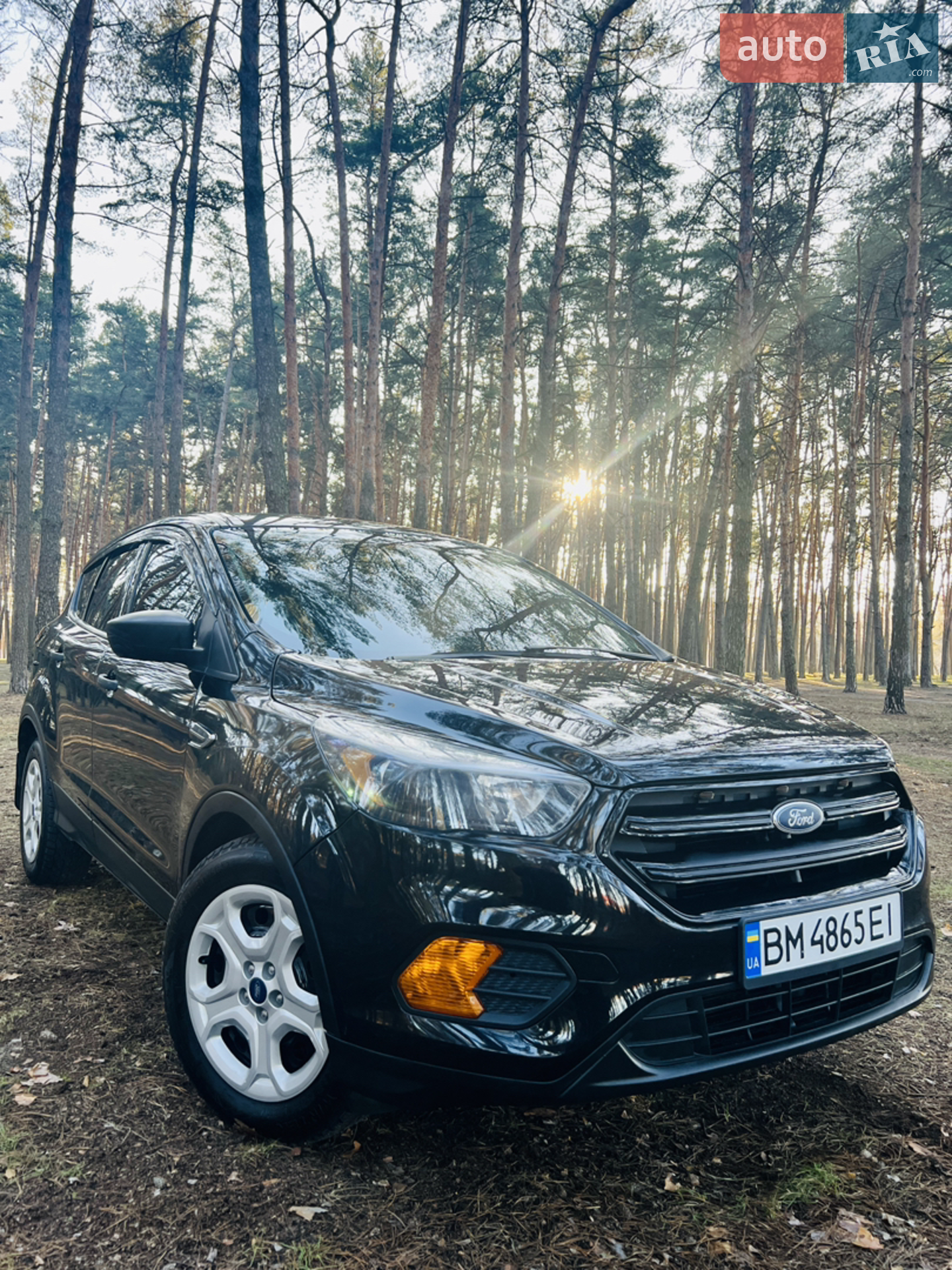 2019 Ford Escape - мініатюра 15