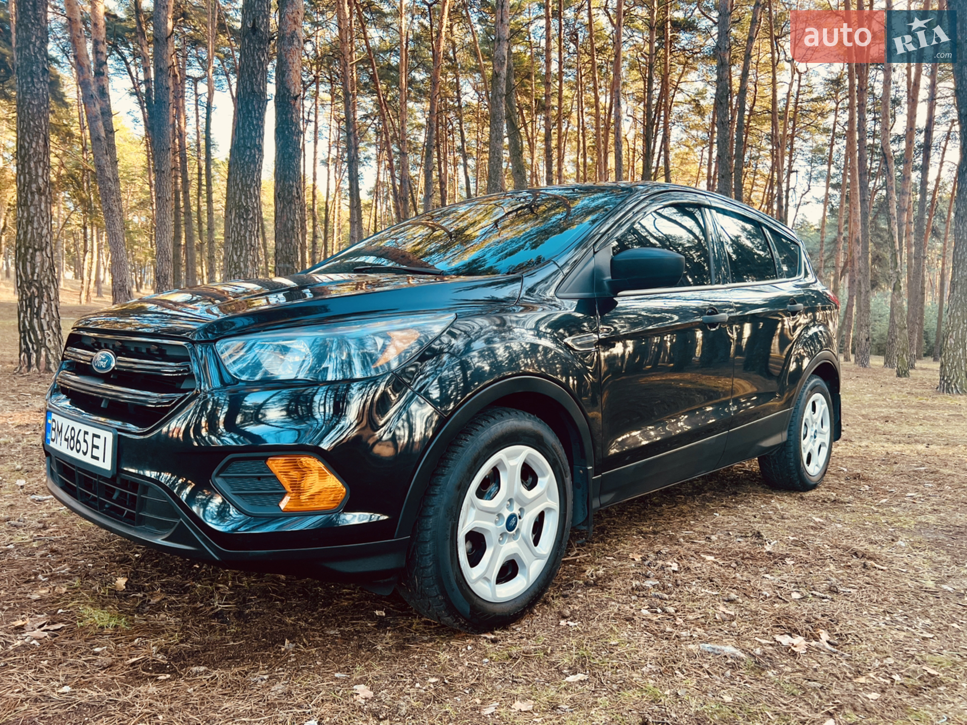 2019 Ford Escape - мініатюра 6
