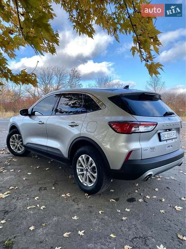 Внедорожник / Кроссовер Ford Escape 2019 в Львове