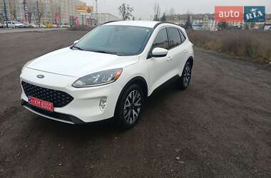 Внедорожник / Кроссовер Ford Escape 2020 в Софиевской Борщаговке