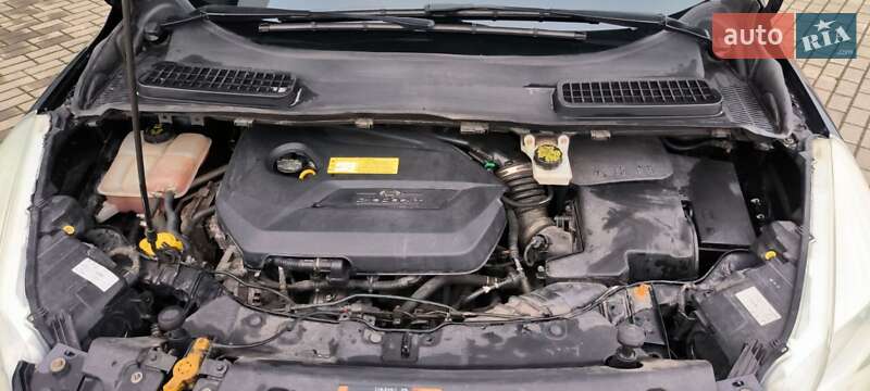 Позашляховик / Кросовер Ford Escape 2016 в Львові фото 47 Позашляховик / Кросовер Ford Escape 2016 в Львові