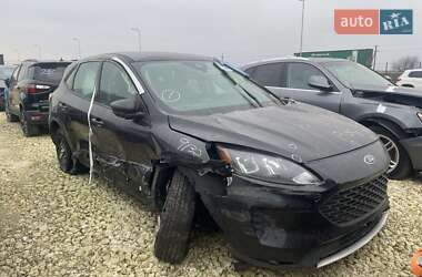 Позашляховик / Кросовер Ford Escape 2020 в Львові