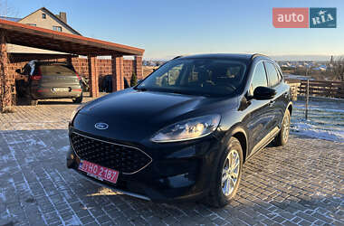Позашляховик / Кросовер Ford Escape 2020 в Луцьку