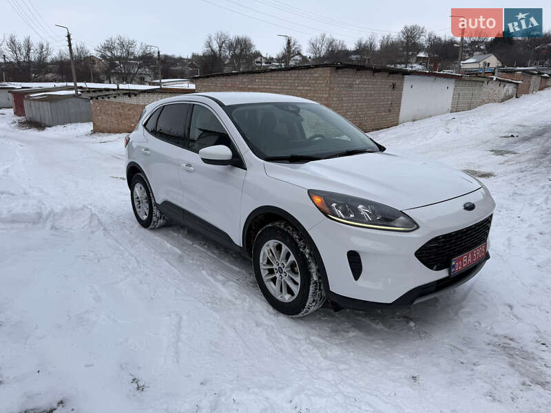 Позашляховик / Кросовер Ford Escape 2020 в Умані