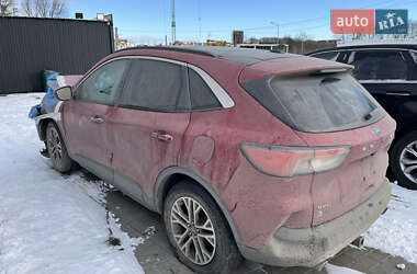 Позашляховик / Кросовер Ford Escape 2020 в Львові