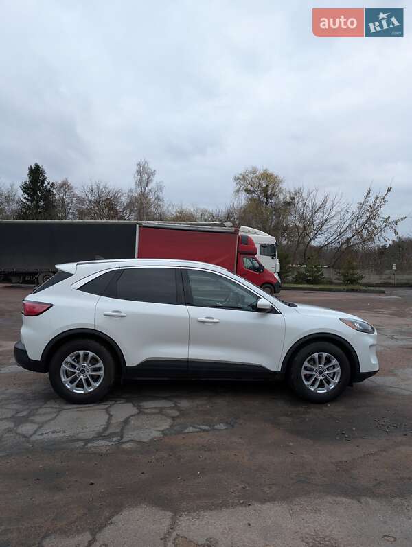 Внедорожник / Кроссовер Ford Escape 2020 в Житомире фото 3 Внедорожник / Кроссовер Ford Escape 2020 в Житомире