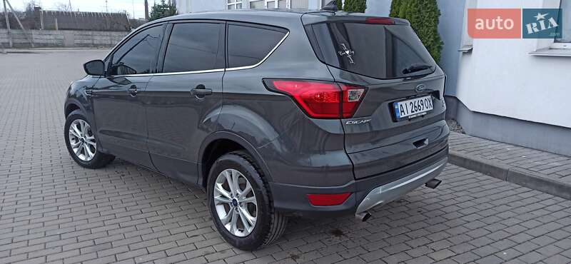 Внедорожник / Кроссовер Ford Escape 2019 в Житомире