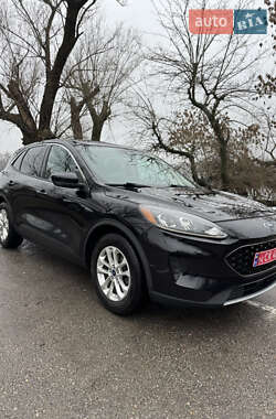 Позашляховик / Кросовер Ford Escape 2020 в Кропивницькому