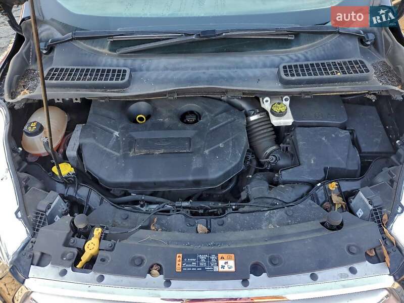 Внедорожник / Кроссовер Ford Escape 2017 в Харькове фото 13 Внедорожник / Кроссовер Ford Escape 2017 в Харькове