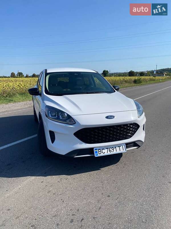 Внедорожник / Кроссовер Ford Escape 2019 в Львове