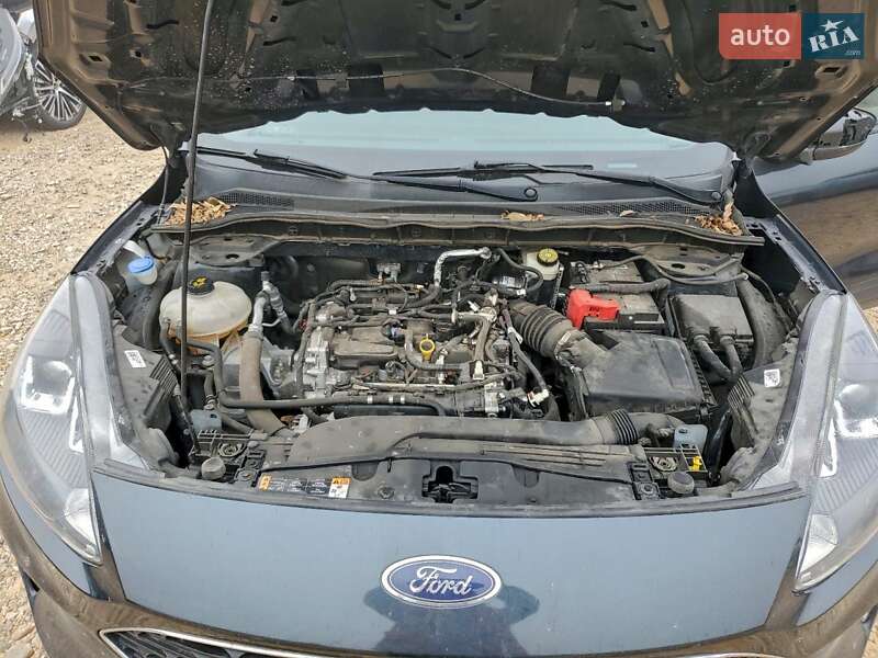 Внедорожник / Кроссовер Ford Escape 2021 в Киеве