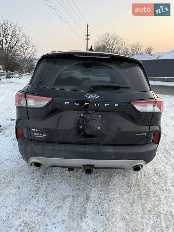 Позашляховик / Кросовер Ford Escape 2020 в Гайвороні