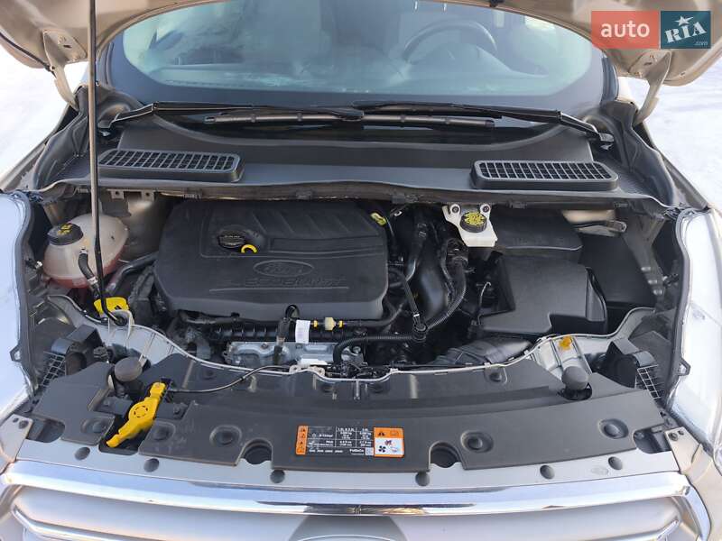 Позашляховик / Кросовер Ford Escape 2017 в Стрию фото 45 Позашляховик / Кросовер Ford Escape 2017 в Стрию