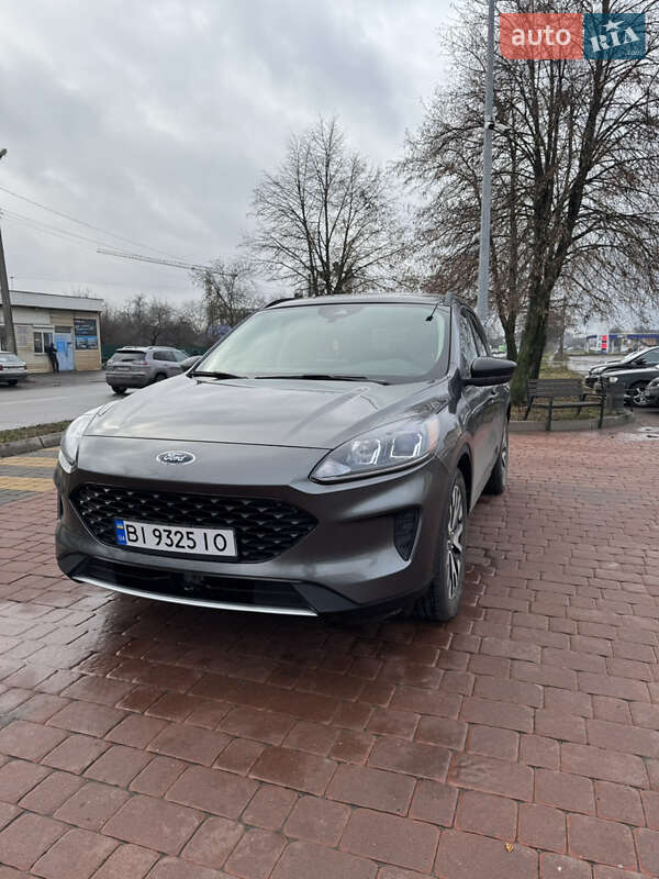 Внедорожник / Кроссовер Ford Escape 2020 в Полтаве