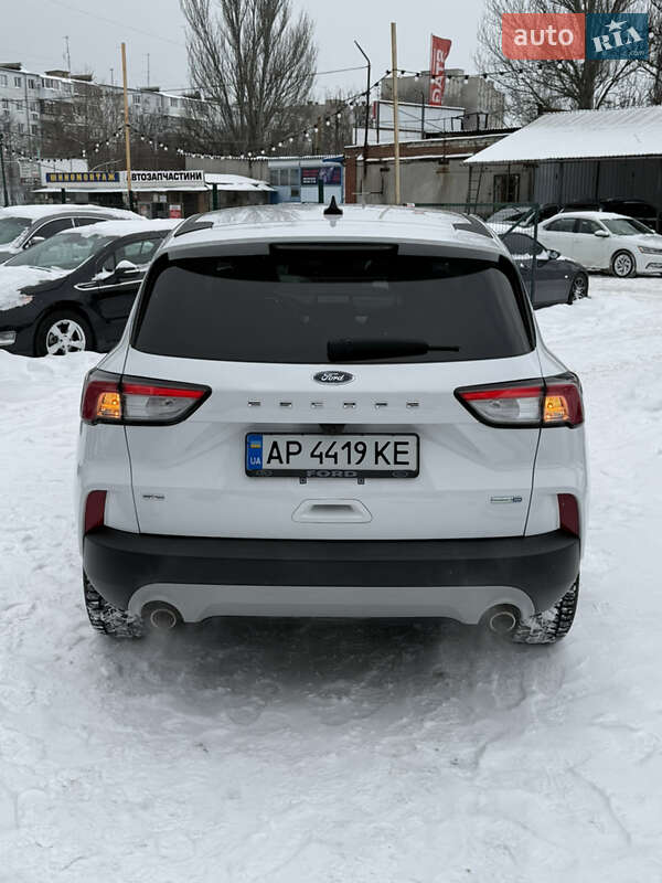 Внедорожник / Кроссовер Ford Escape 2019 в Запорожье фото 5 Внедорожник / Кроссовер Ford Escape 2019 в Запорожье