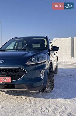 Внедорожник / Кроссовер Ford Escape 2019 в Ровно