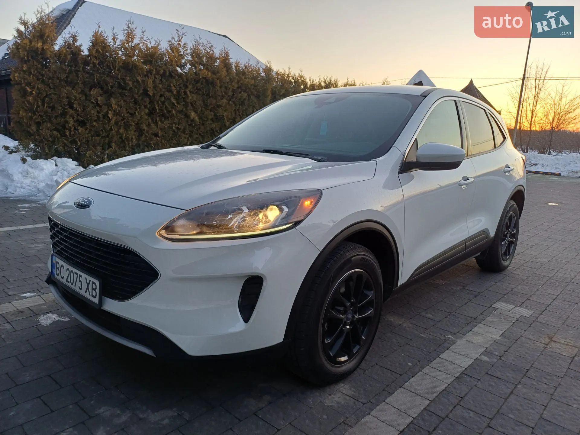 2019 Ford Escape - фото 1