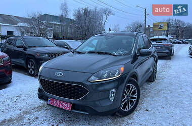 Внедорожник / Кроссовер Ford Escape 2020 в Полтаве