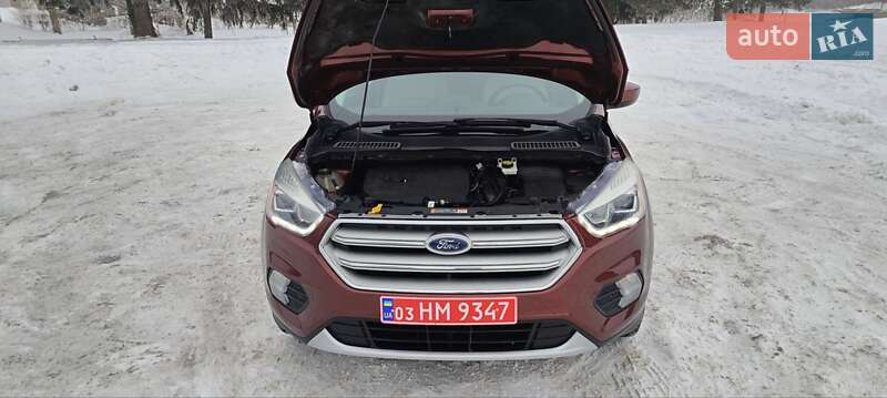 Позашляховик / Кросовер Ford Escape 2018 в Дубні фото 39 Позашляховик / Кросовер Ford Escape 2018 в Дубні