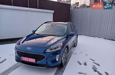 Внедорожник / Кроссовер Ford Escape 2022 в Броварах