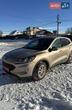 Внедорожник / Кроссовер Ford Escape 2020 в Киеве