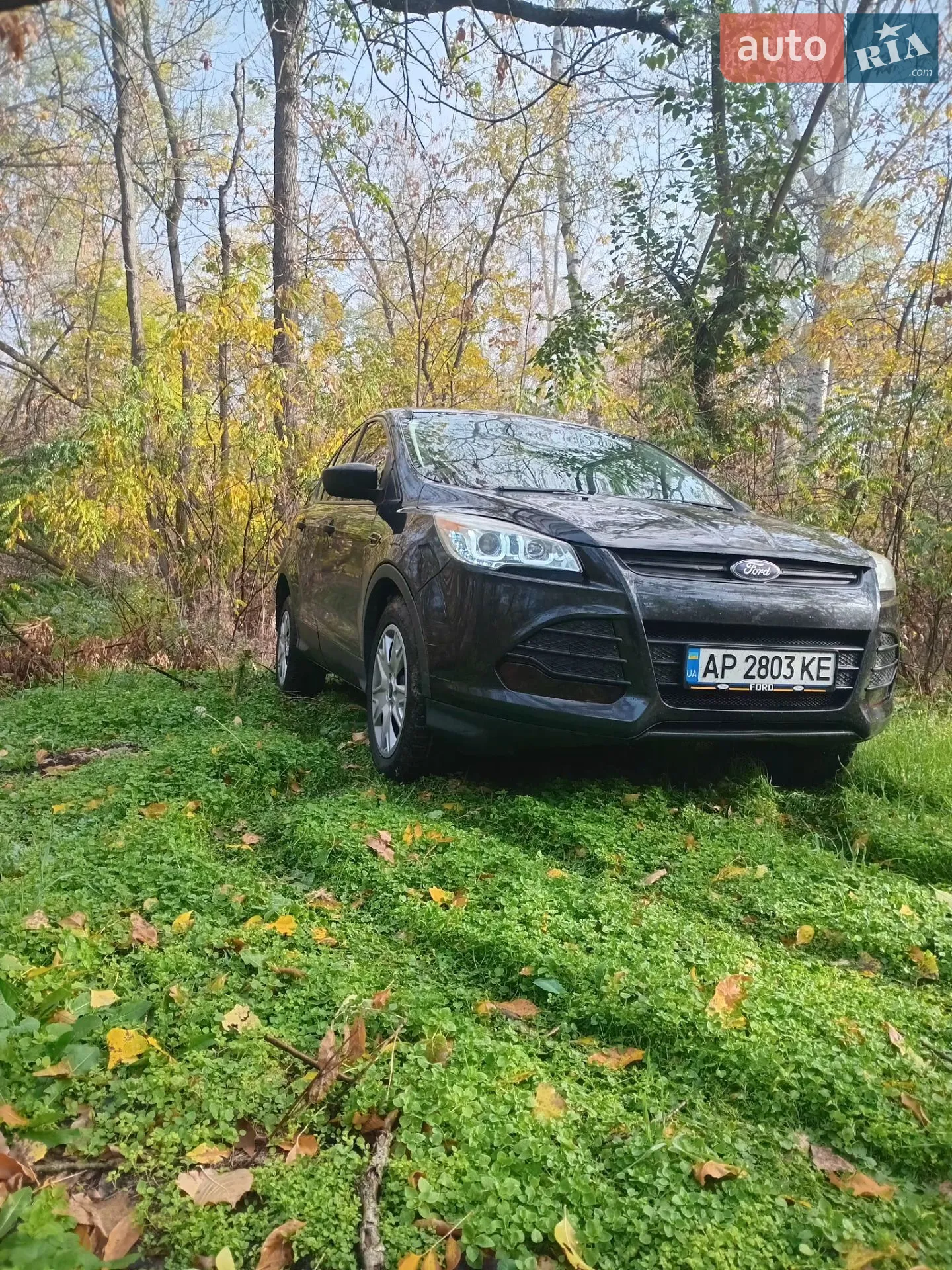 2012 Ford Escape - фото 1
