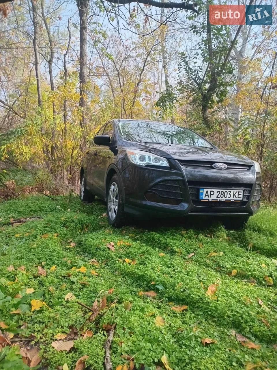 2013 Ford Escape - мініатюра 13