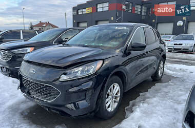 Внедорожник / Кроссовер Ford Escape 2019 в Львове