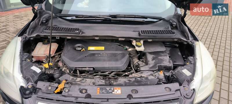 Внедорожник / Кроссовер Ford Escape 2016 в Львове фото 23 Внедорожник / Кроссовер Ford Escape 2016 в Львове