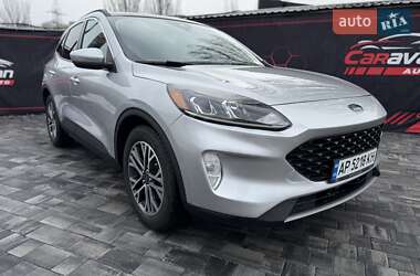 Внедорожник / Кроссовер Ford Escape 2019 в Днепре