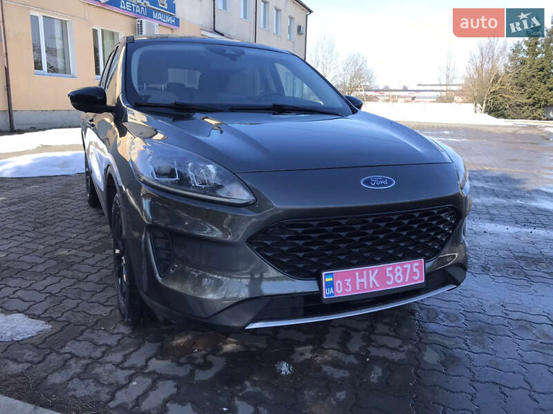 Внедорожник / Кроссовер Ford Escape 2020 в Сокале