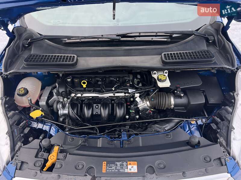 Позашляховик / Кросовер Ford Escape 2019 в Богуславі