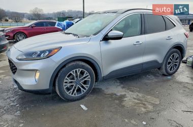 Внедорожник / Кроссовер Ford Escape 2020 в Тернополе