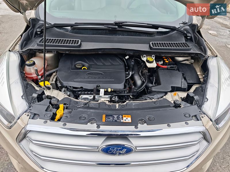 Внедорожник / Кроссовер Ford Escape 2017 в Сумах