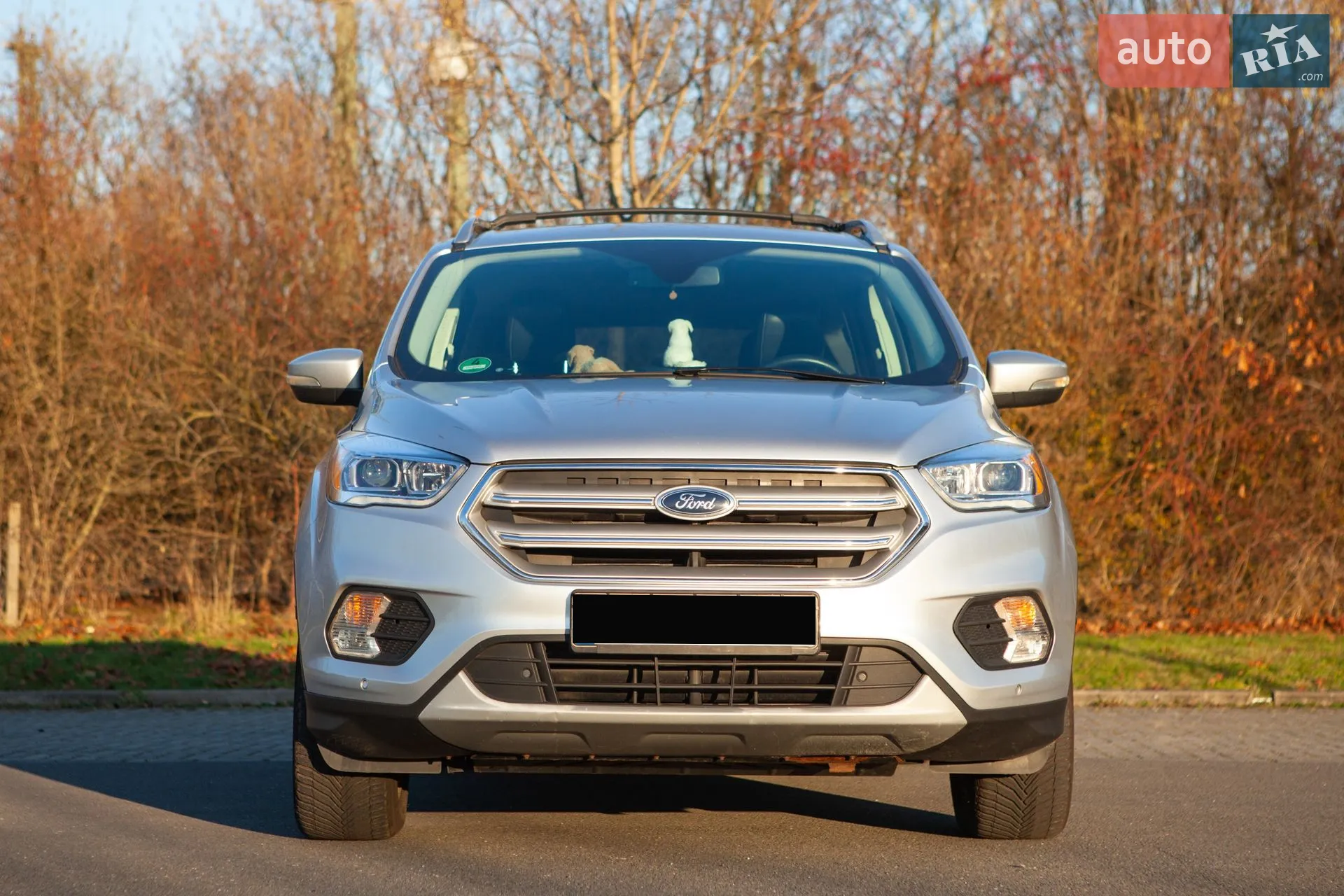 2019 Ford Escape - мініатюра 7