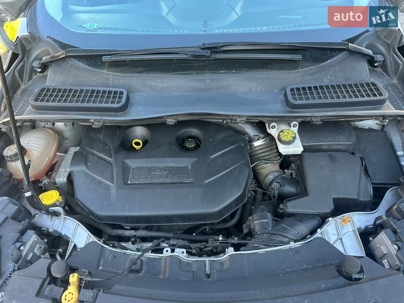 Позашляховик / Кросовер Ford Escape 2018 в Луцьку