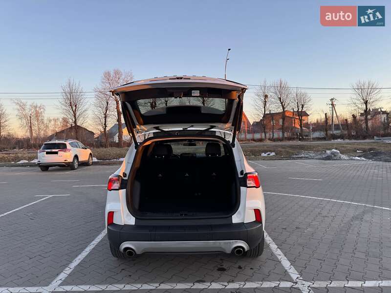 Внедорожник / Кроссовер Ford Escape 2019 в Вышгороде