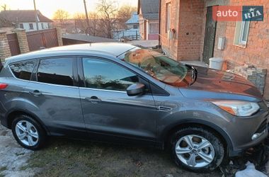 Позашляховик / Кросовер Ford Escape 2013 в Хмельницькому