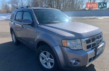 Внедорожник / Кроссовер Ford Escape 2007 в Киеве