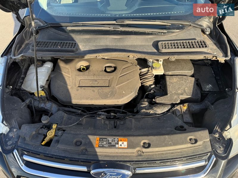 Внедорожник / Кроссовер Ford Escape 2015 в Львове