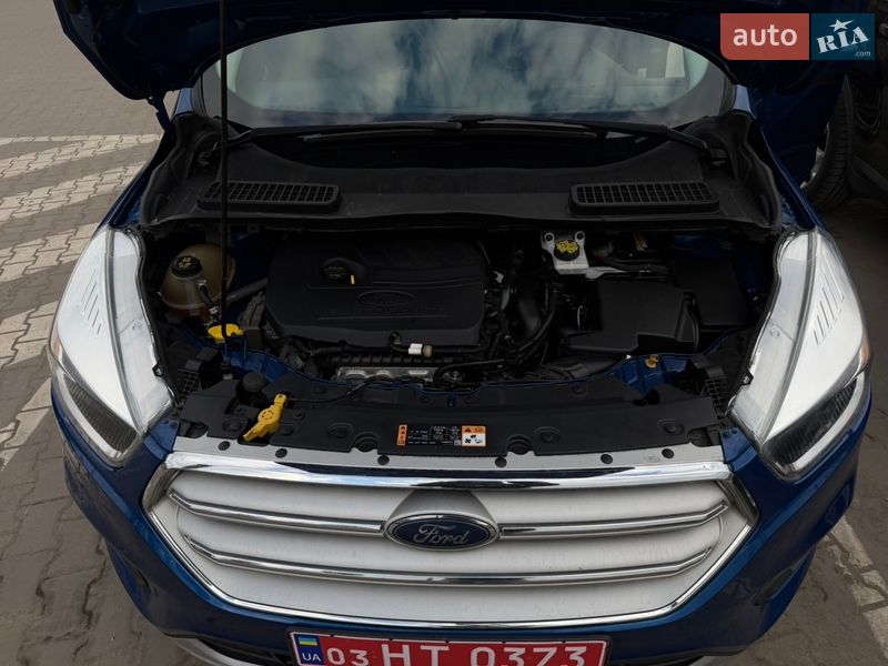 Внедорожник / Кроссовер Ford Escape 2018 в Дубно фото 52 Внедорожник / Кроссовер Ford Escape 2018 в Дубно