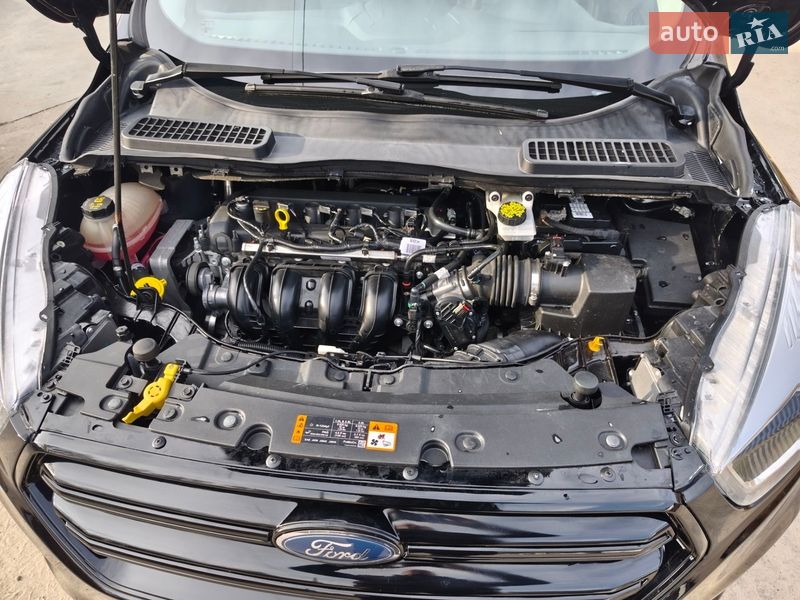 Внедорожник / Кроссовер Ford Escape 2019 в Киеве фото 29 Внедорожник / Кроссовер Ford Escape 2019 в Киеве