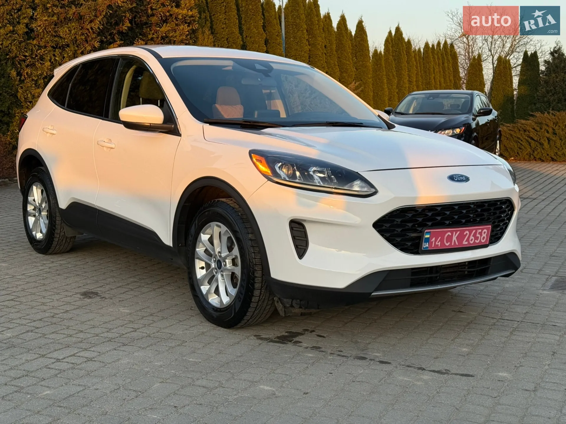 2020 Ford Escape - фото 1